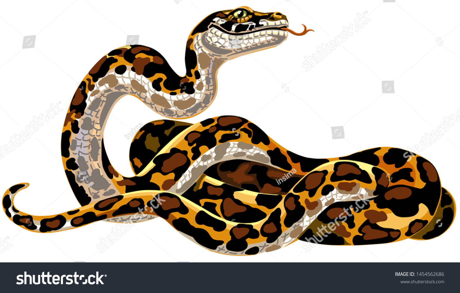 A large illustrated snake with a broad grin